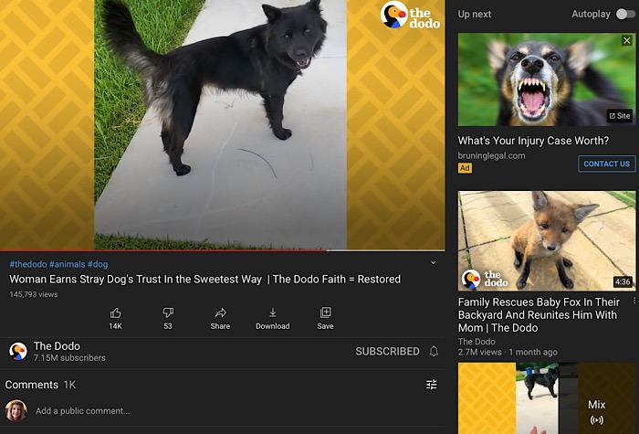 Nyheter Mozilla Youtube rekommendationer Hund