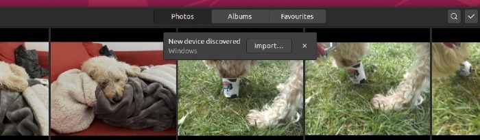 Skärmdump som visar importdialogrutan för Gnome Photos.