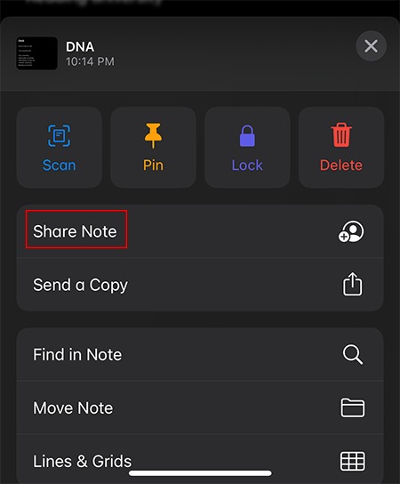 Collaborate Notes Ios Share