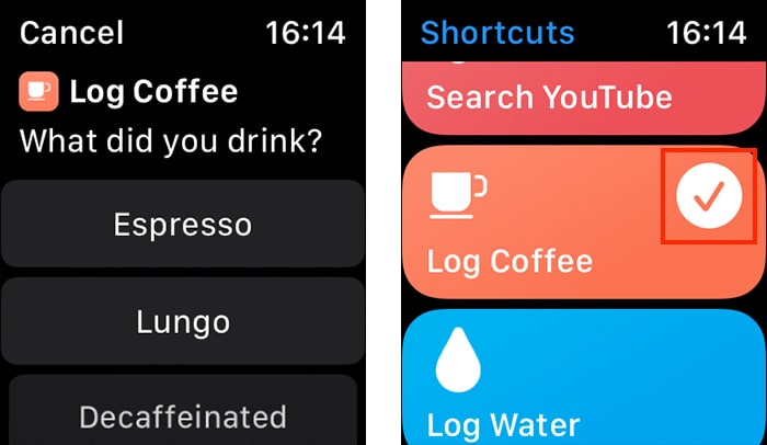 Siri Snarveier Apple Watch Running Shortcut On Watchos