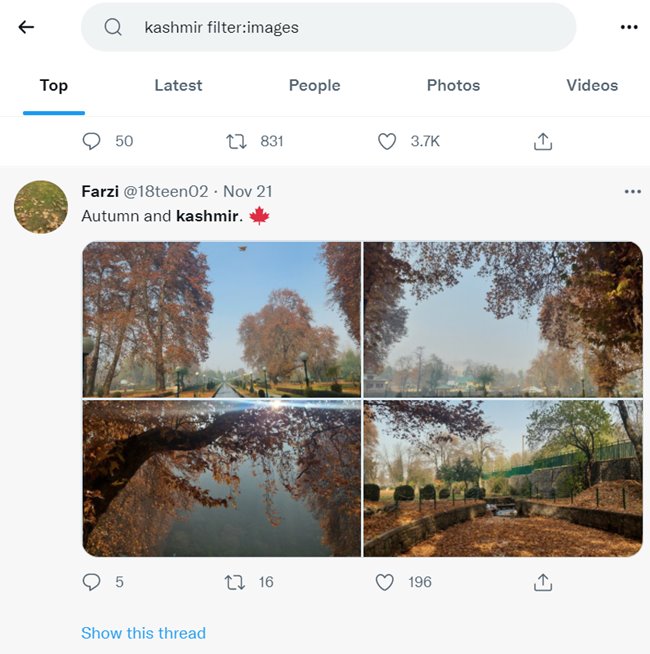 Twitter Search Advanced Images