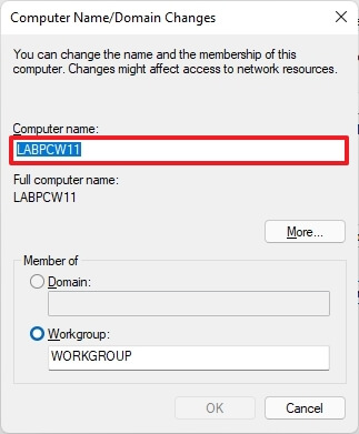Gi nytt navn til datamaskinen på Windows 11
