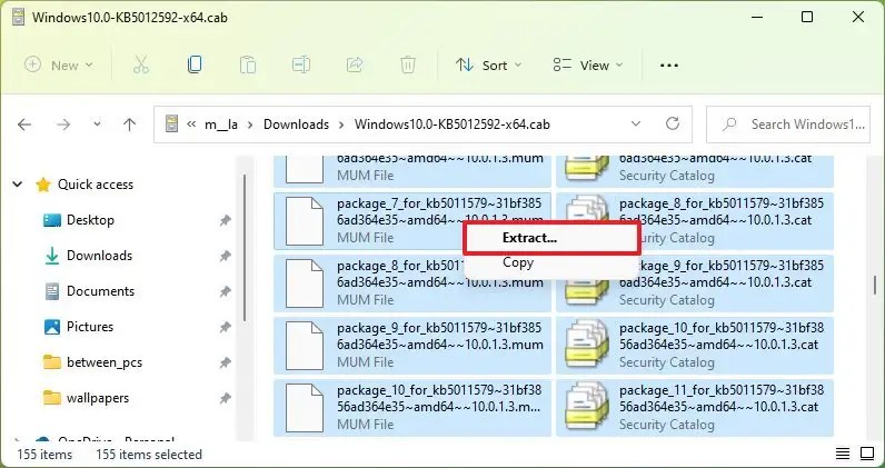 File Explorer pakke ut CAB-fil